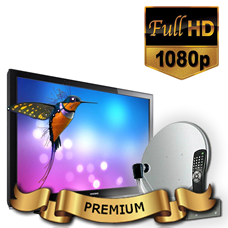 Комплект спутникового телевидения и оборудования для самостоятельной установки Премиум HD на 1 ТВ